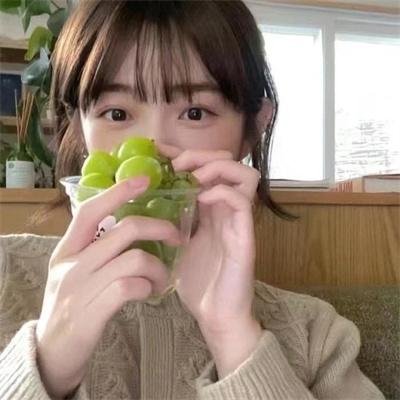 夏日菊花茶